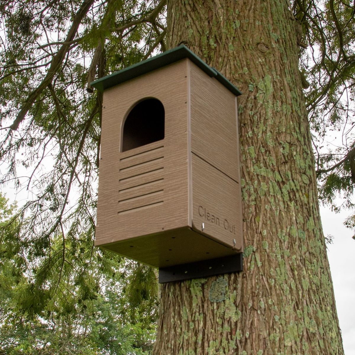 Recycled Poly Barred Owl Nesting Box Assembled